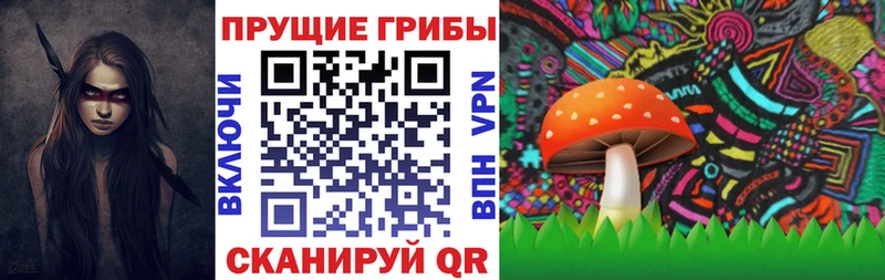Галлюциногенные грибы Cubensis  Купить где  Людиново 